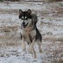 April playing in the snow