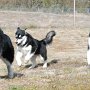 Sadie with her kids Tegan and Oscar