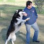 Mark and Oscar playing