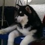Chillin at a show