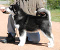 Regi @ 4 months