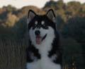 Regi @ 10 months