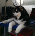 Regi @ 5 months